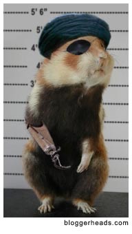 Nudisten nackt strand hamster FKK: ist