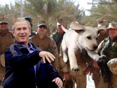 U.S. Marines watching George W. Bush throwing a puppy in Iraq - THIS REALLY HAPPENED, PEOPLE!