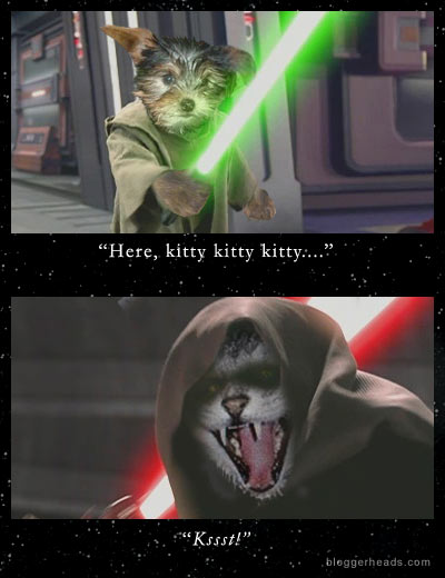 Here, kitty-kitty-kitty...