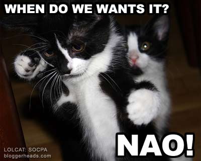 LOLCAT: hat do we want?