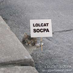 LOLCAT: SOCPA