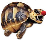 Bloggerheads - welcome to the hard shell