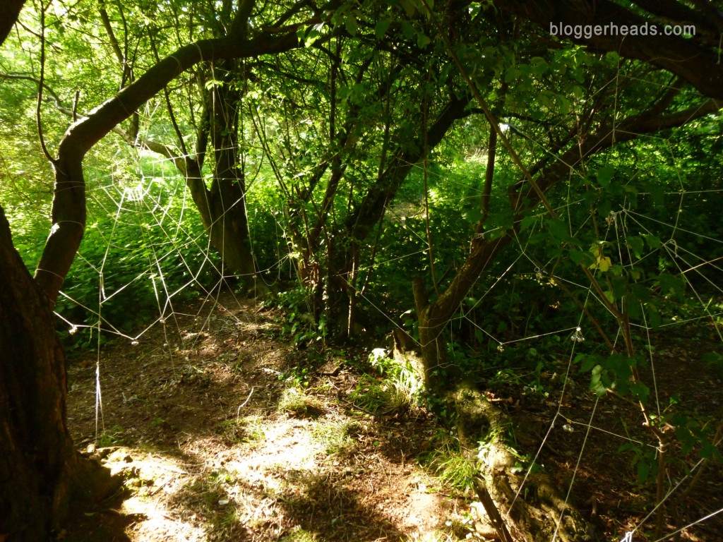 Spider Web Obstacle 1