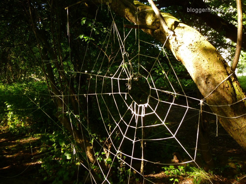 Spider Web Obstacle 3