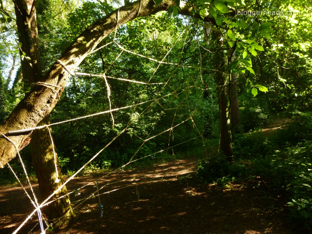 Rope Spider Web Obstacle
