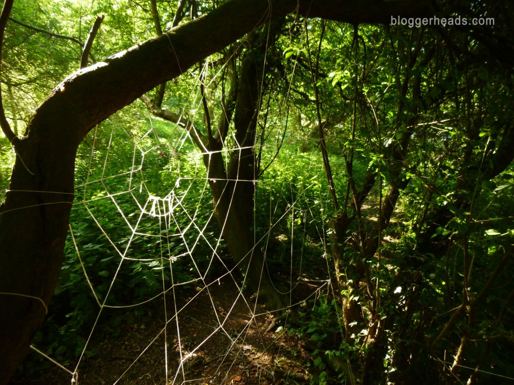 Detail: Spider Web Obstacle